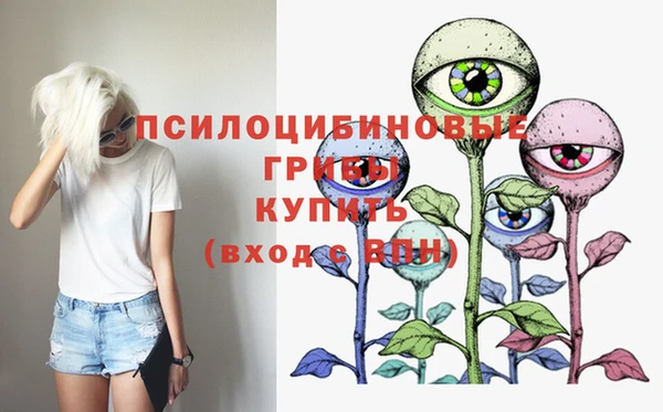 прущие грибы Инсар