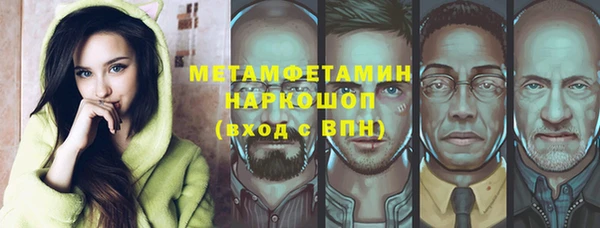 spice Инта