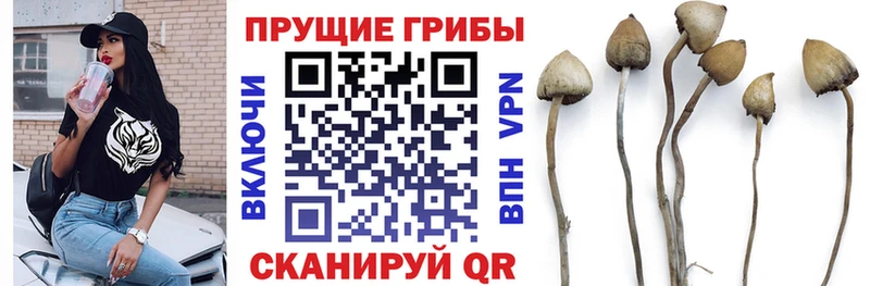 цена наркотик  Мегион  Псилоцибиновые грибы GOLDEN TEACHER 